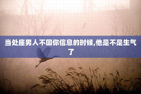 当处座男人不回你信息的时候,他是不是生气了
