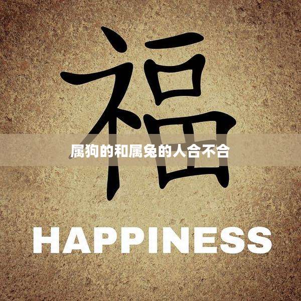 属狗的和属兔的人合不合