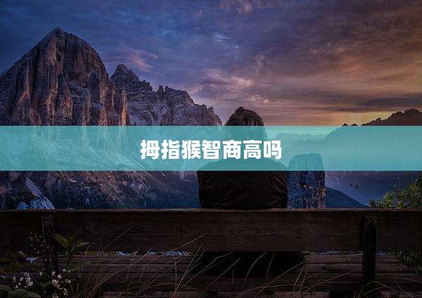 拇指猴智商高吗