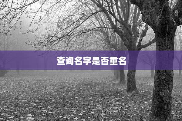 查询名字是否重名