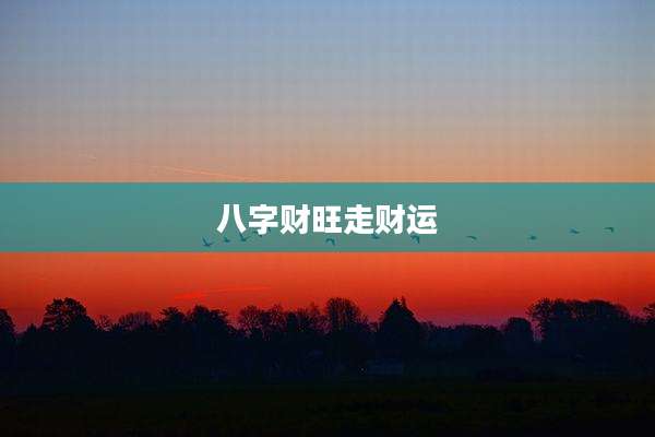 八字财旺走财运