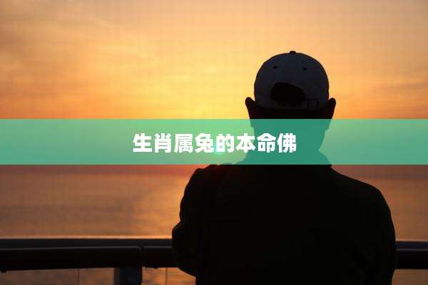 生肖属兔的本命佛