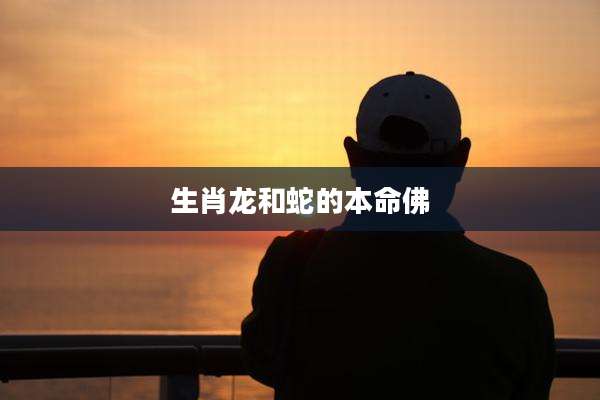 生肖龙和蛇的本命佛