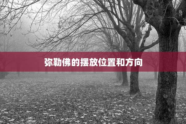 弥勒佛的摆放位置和方向