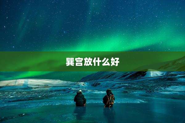 巽宫放什么好