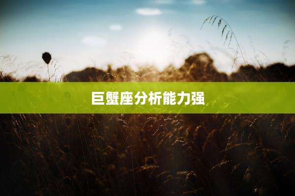 巨蟹座分析能力强