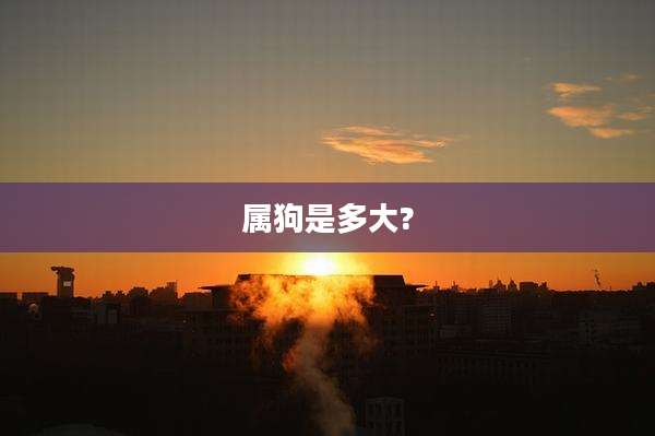 属狗是多大?