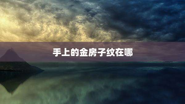 手上的金房子纹在哪