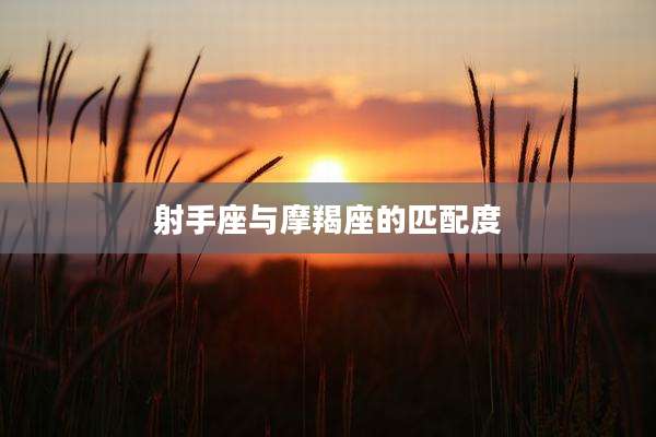 射手座与摩羯座的匹配度