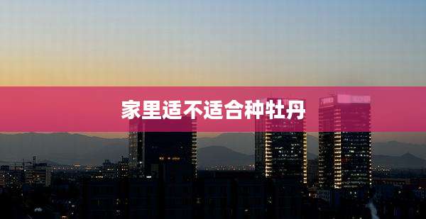 家里适不适合种牡丹