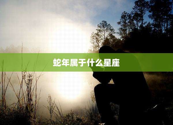 蛇年属于什么星座