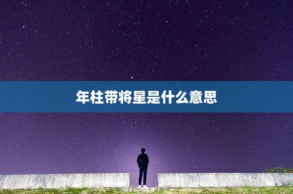年柱带将星是什么意思