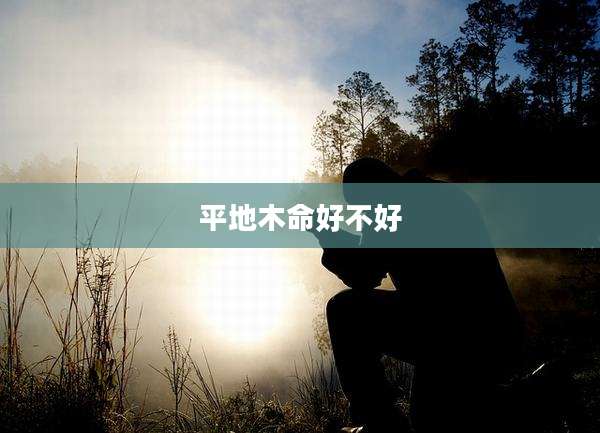 平地木命好不好