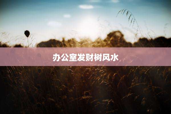 办公室发财树风水