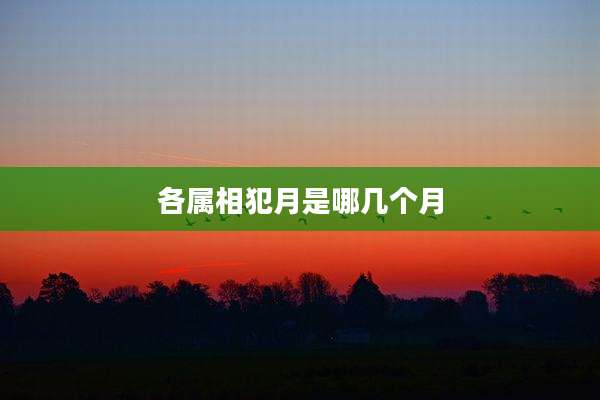 各属相犯月是哪几个月