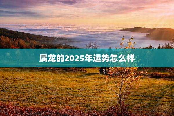 属龙的2025年运势怎么样