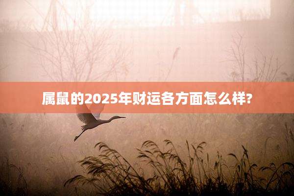 属鼠的2025年财运各方面怎么样?