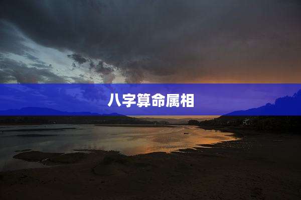 八字算命属相