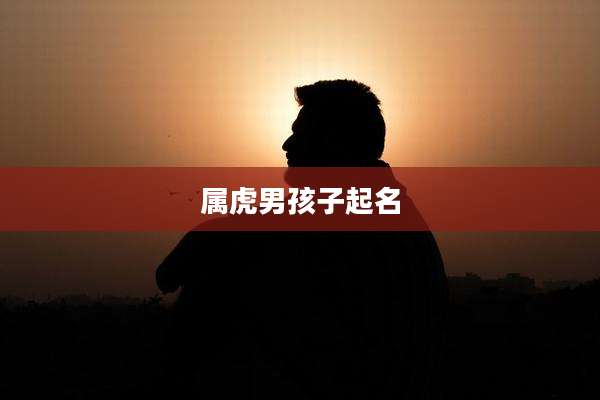 属虎男孩子起名