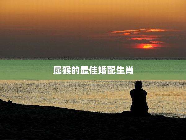 属猴的最佳婚配生肖