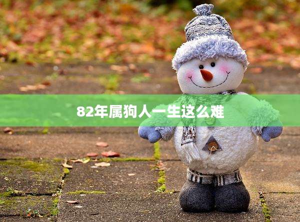 82年属狗人一生这么难
