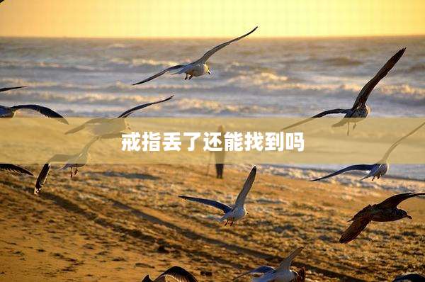戒指丢了还能找到吗