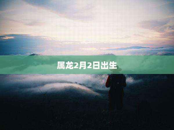 属龙2月2日出生