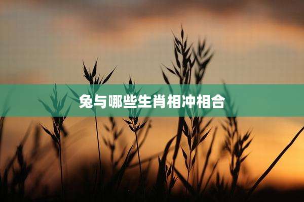 兔与哪些生肖相冲相合