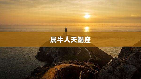 属牛人天蝎座
