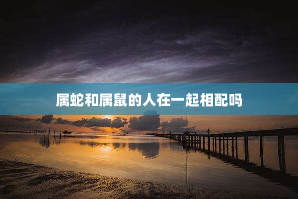 属蛇和属鼠的人在一起相配吗