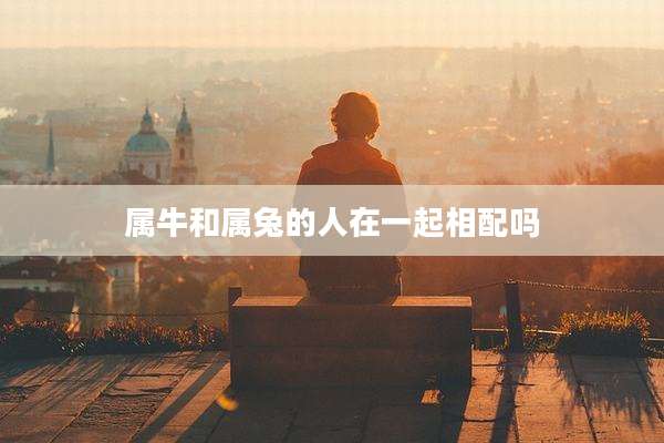 属牛和属兔的人在一起相配吗