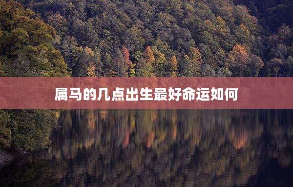 属马的几点出生最好命运如何