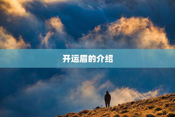 开运眉的介绍
