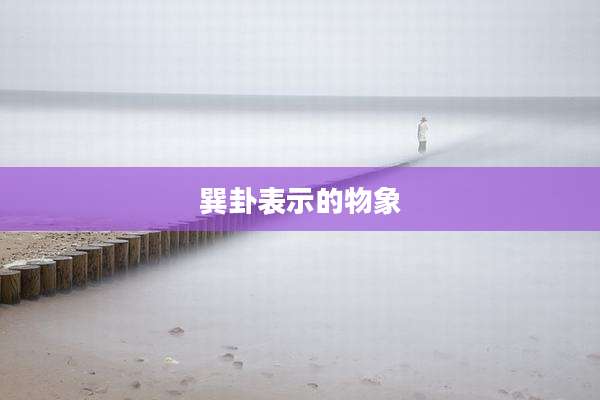 巽卦表示的物象