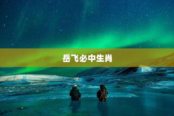 岳飞必中生肖