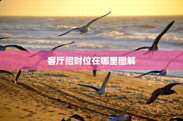 客厅招财位在哪里图解