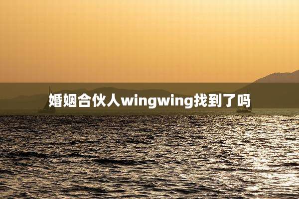 婚姻合伙人wingwing找到了吗