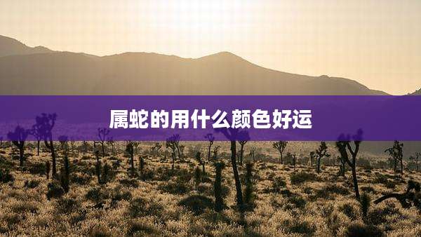 属蛇的用什么颜色好运