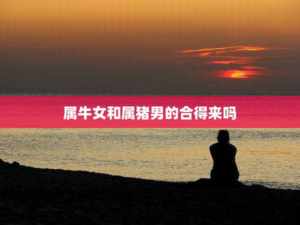 属牛女和属猪男的合得来吗