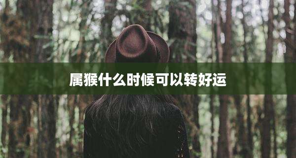 属猴什么时候可以转好运