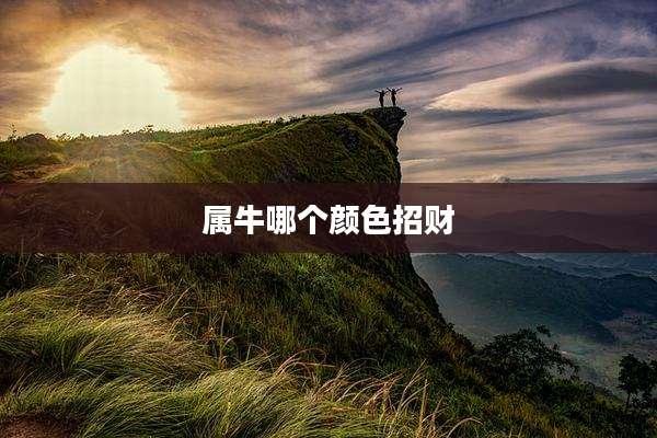 属牛哪个颜色招财