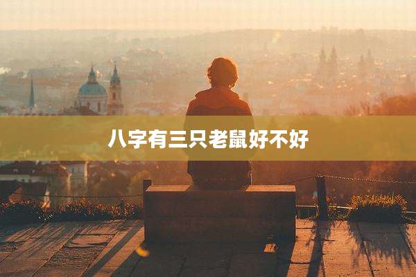 八字有三只老鼠好不好