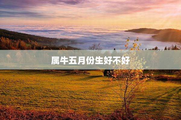 属牛五月份生好不好