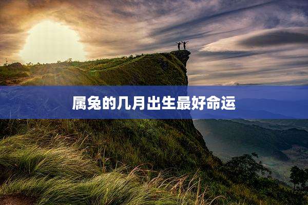 属兔的几月出生最好命运