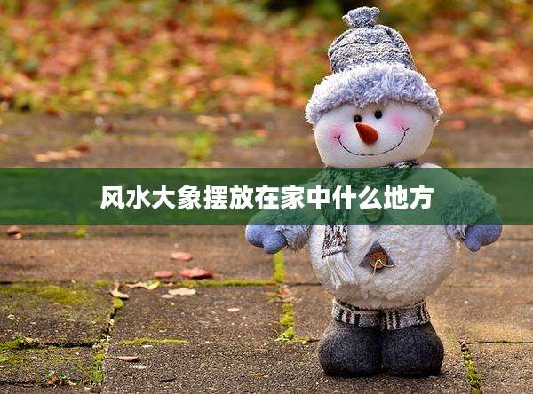 风水大象摆放在家中什么地方