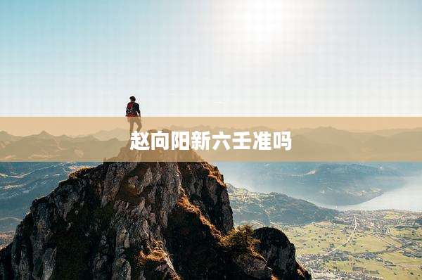 赵向阳新六壬准吗