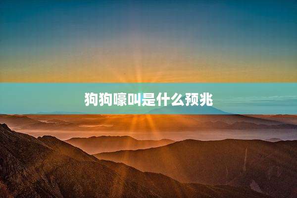 狗狗嚎叫是什么预兆
