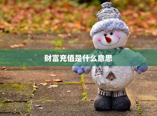 财富充值是什么意思