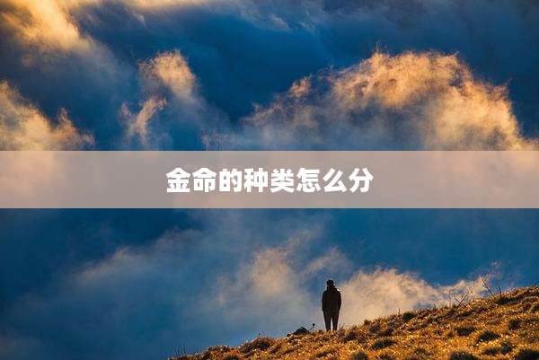 金命的种类怎么分