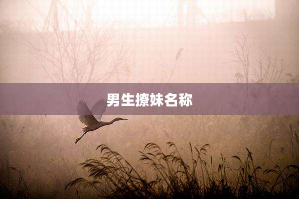 男生撩妹名称